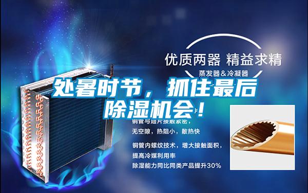 處暑時節(jié)，抓住最后除濕機會！