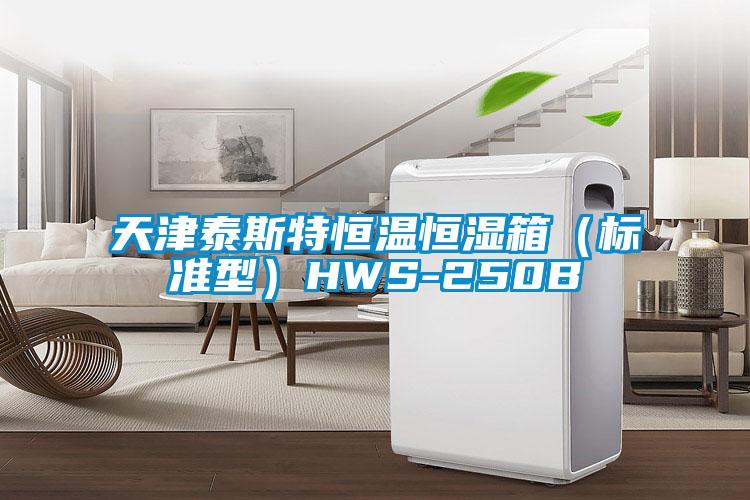 天津泰斯特恒溫恒濕箱（標準型）HWS-250B