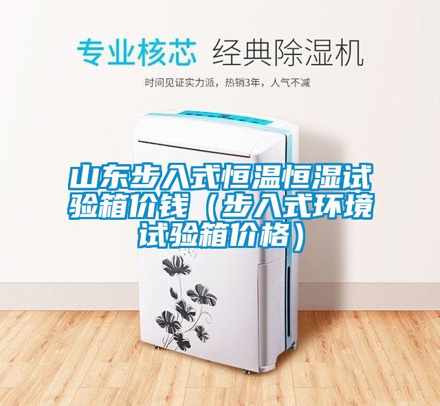 山東步入式恒溫恒濕試驗(yàn)箱價(jià)錢(qián)（步入式環(huán)境試驗(yàn)箱價(jià)格）