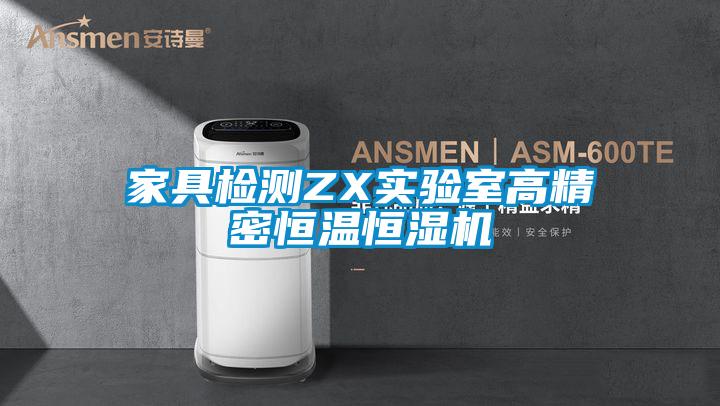 家具檢測ZX實(shí)驗(yàn)室高精密恒溫恒濕機(jī)