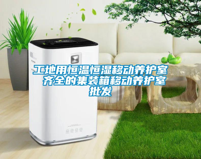工地用恒溫恒濕移動養護室 齊全的集裝箱移動養護室批發