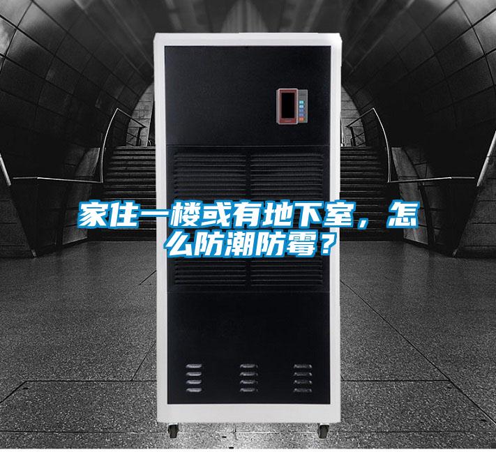 家住一樓或有地下室，怎么防潮防霉？