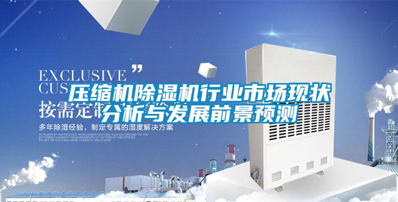 壓縮機除濕機行業(yè)市場現(xiàn)狀分析與發(fā)展前景預(yù)測