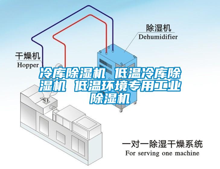 冷庫除濕機 低溫冷庫除濕機 低溫環境專用工業除濕機