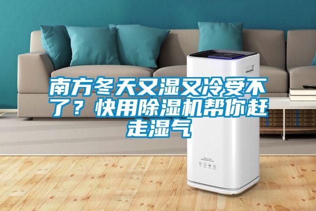 南方冬天又濕又冷受不了？快用除濕機幫你趕走濕氣