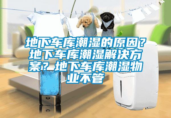 地下車庫潮濕的原因？地下車庫潮濕解決方案？地下車庫潮濕物業不管