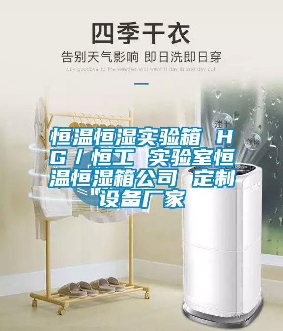 恒溫恒濕實驗箱 HG／恒工 實驗室恒溫恒濕箱公司 定制設備廠家