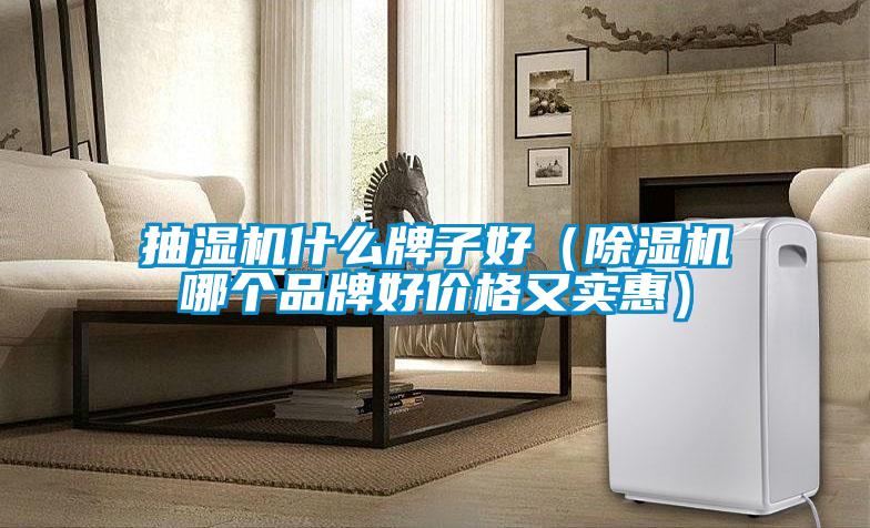 抽濕機(jī)什么牌子好（除濕機(jī)哪個品牌好價格又實(shí)惠）