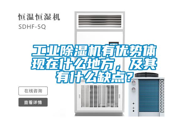 工業(yè)除濕機(jī)有優(yōu)勢(shì)體現(xiàn)在什么地方，及其有什么缺點(diǎn)？