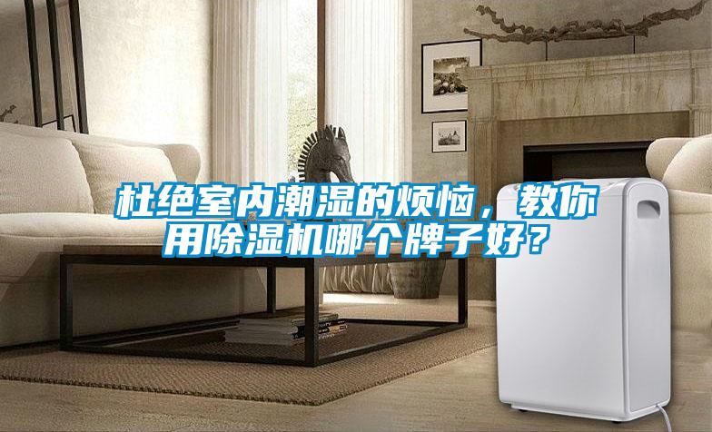 杜絕室內潮濕的煩惱，教你用除濕機哪個牌子好？