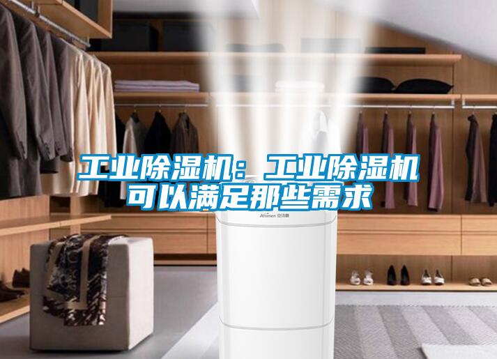 工業(yè)除濕機：工業(yè)除濕機可以滿足那些需求