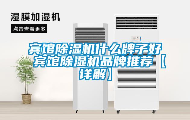賓館除濕機什么牌子好 賓館除濕機品牌推薦【詳解】