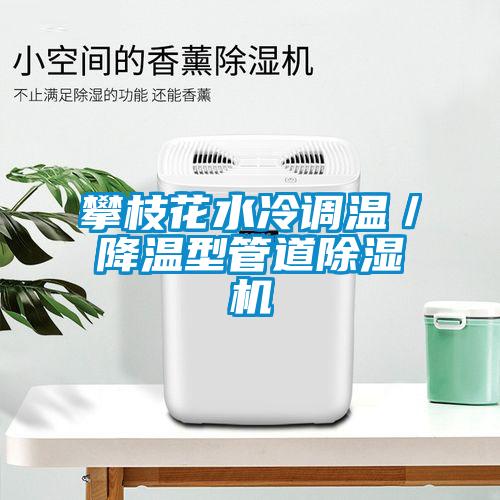 攀枝花水冷調(diào)溫／降溫型管道除濕機