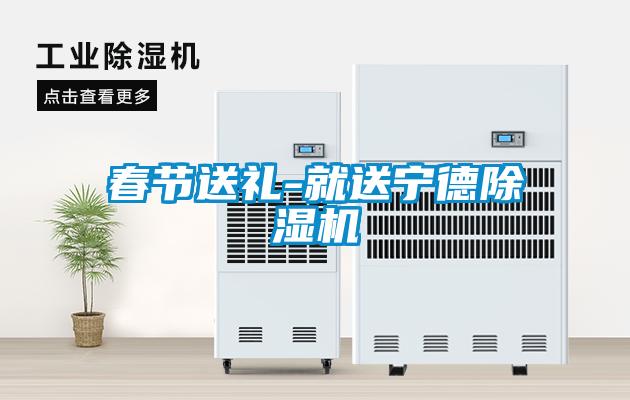 春節送禮-就送寧德除濕機