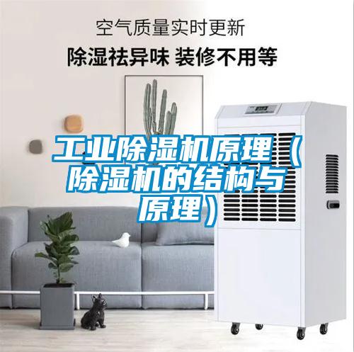 工業除濕機原理（除濕機的結構與原理）