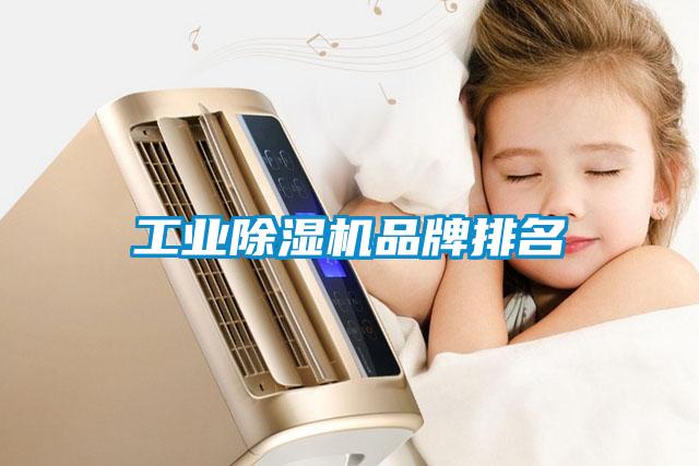 工業除濕機品牌排名