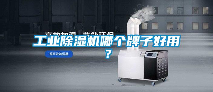工業除濕機哪個牌子好用？