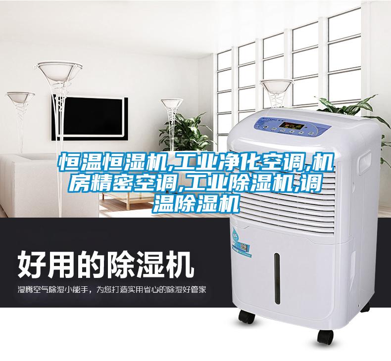 恒溫恒濕機,工業凈化空調,機房精密空調,工業除濕機,調溫除濕機