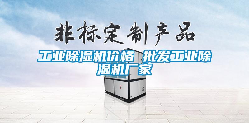 工業(yè)除濕機(jī)價格 批發(fā)工業(yè)除濕機(jī)廠家