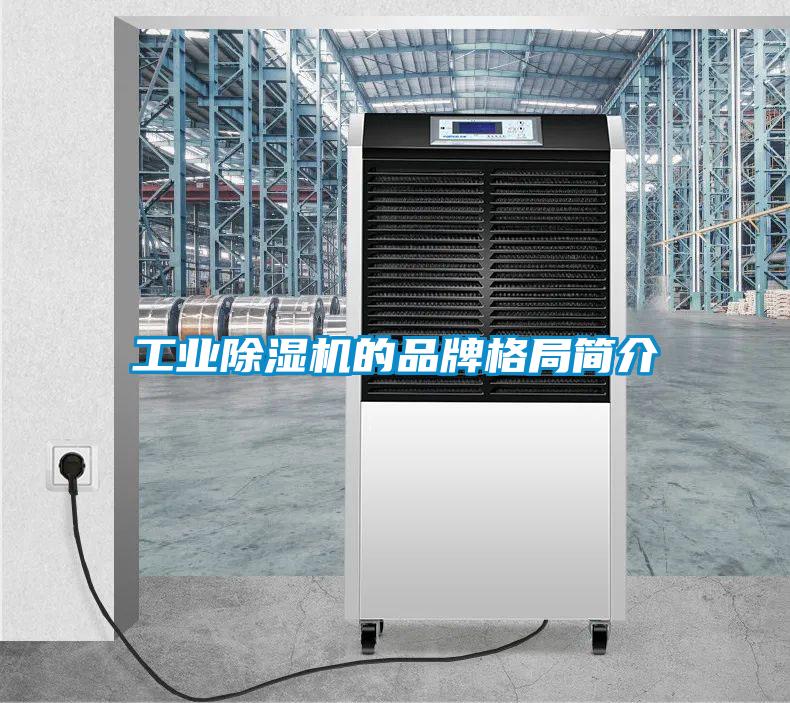 工業除濕機的品牌格局簡介