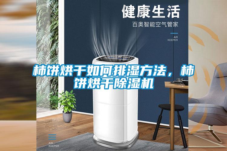 柿餅烘干如何排濕方法，柿餅烘干除濕機