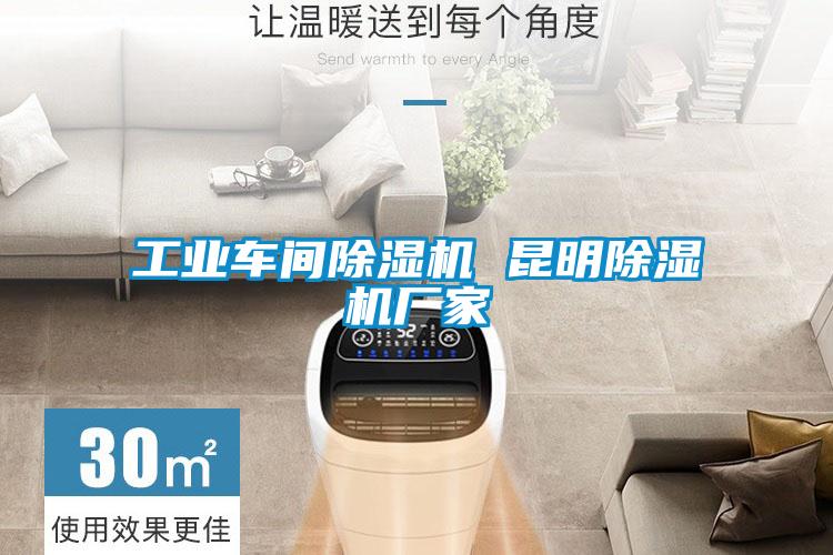 工業車間除濕機 昆明除濕機廠家