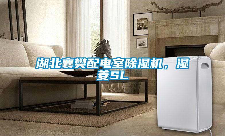 湖北襄樊配電室除濕機(jī)，濕菱SL