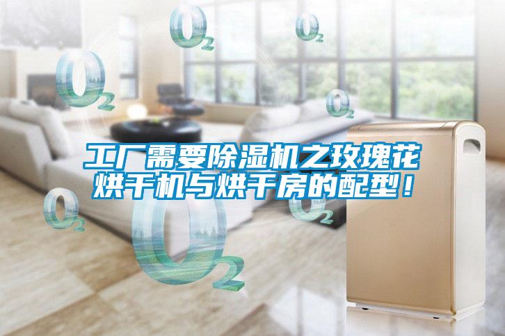 工廠需要除濕機之玫瑰花烘干機與烘干房的配型！