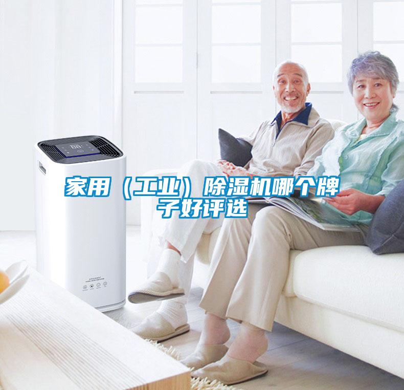家用（工業(yè)）除濕機哪個牌子好評選