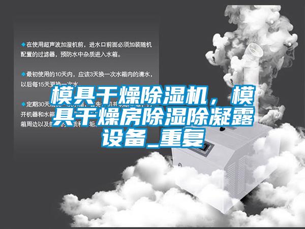 模具干燥除濕機，模具干燥房除濕除凝露設備_重復