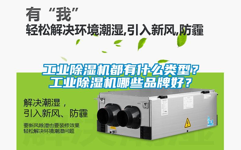 工業(yè)除濕機(jī)都有什么類型？工業(yè)除濕機(jī)哪些品牌好？