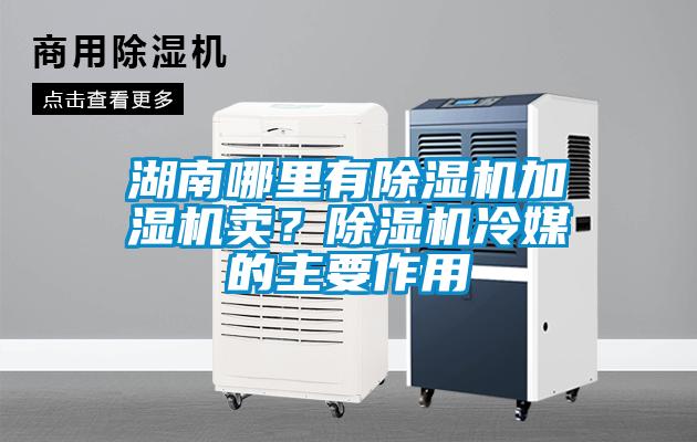 湖南哪里有除濕機(jī)加濕機(jī)賣？除濕機(jī)冷媒的主要作用