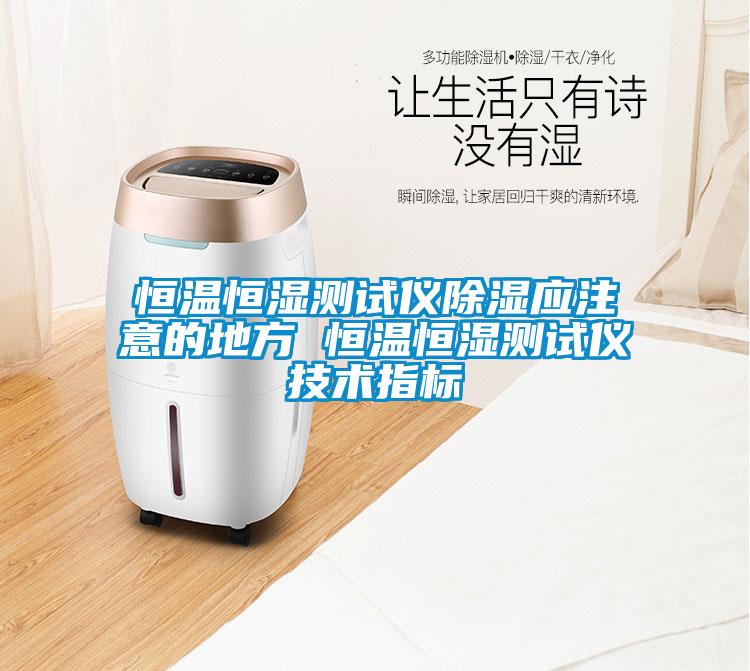 恒溫恒濕測試儀除濕應(yīng)注意的地方 恒溫恒濕測試儀技術(shù)指標