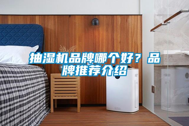 抽濕機品牌哪個好？品牌推薦介紹