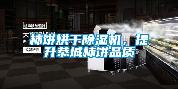 柿餅烘干除濕機，提升恭城柿餅品質