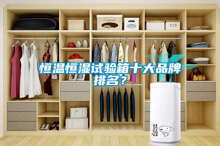 恒溫恒濕試驗箱十大品牌排名？