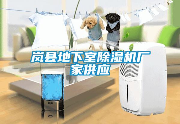 嵐縣地下室除濕機廠家供應