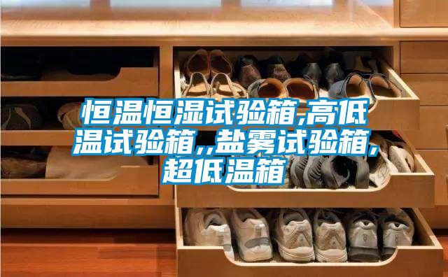 恒溫恒濕試驗(yàn)箱,高低溫試驗(yàn)箱,,鹽霧試驗(yàn)箱,超低溫箱