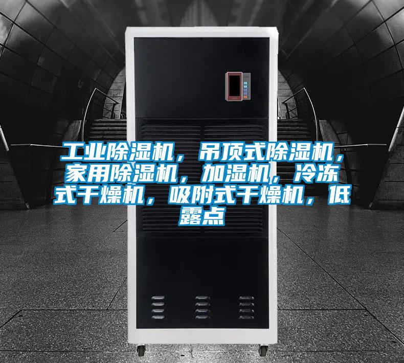 工業除濕機，吊頂式除濕機，家用除濕機，加濕機，冷凍式干燥機，吸附式干燥機，低露點