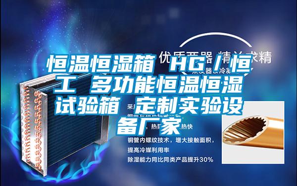 恒溫恒濕箱 HG／恒工 多功能恒溫恒濕試驗(yàn)箱 定制實(shí)驗(yàn)設(shè)備廠(chǎng)家