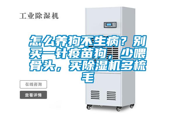 怎么養狗不生?。縿e買一針疫苗狗，少喂骨頭，買除濕機多梳毛