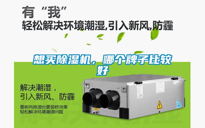 想買除濕機，哪個牌子比較好
