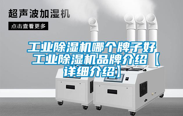 工業除濕機哪個牌子好 工業除濕機品牌介紹【詳細介紹】