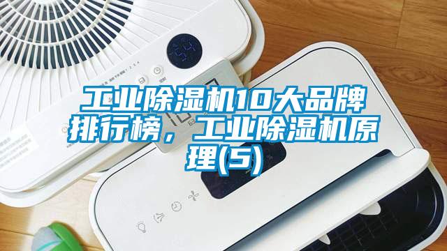 工業(yè)除濕機10大品牌排行榜，工業(yè)除濕機原理(5)