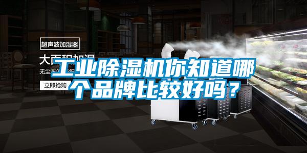 工業除濕機你知道哪個品牌比較好嗎？
