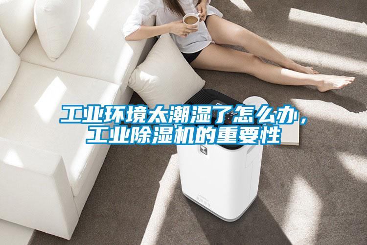 工業(yè)環(huán)境太潮濕了怎么辦，工業(yè)除濕機(jī)的重要性