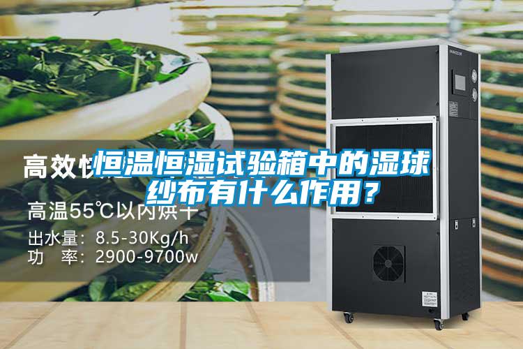 恒溫恒濕試驗箱中的濕球紗布有什么作用？