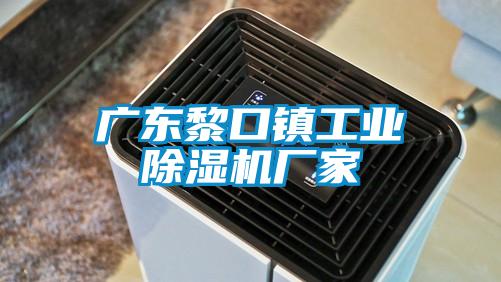 廣東黎口鎮工業除濕機廠家