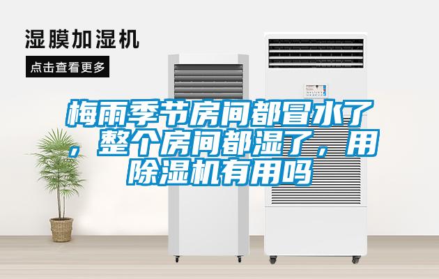 梅雨季節房間都冒水了，整個房間都濕了，用除濕機有用嗎