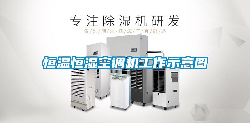 恒溫恒濕空調機工作示意圖
